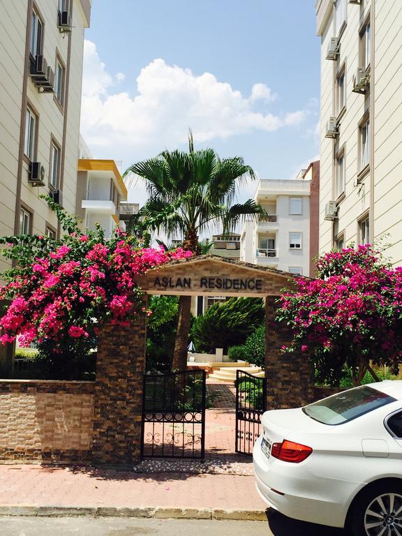 Aslan * Antalya