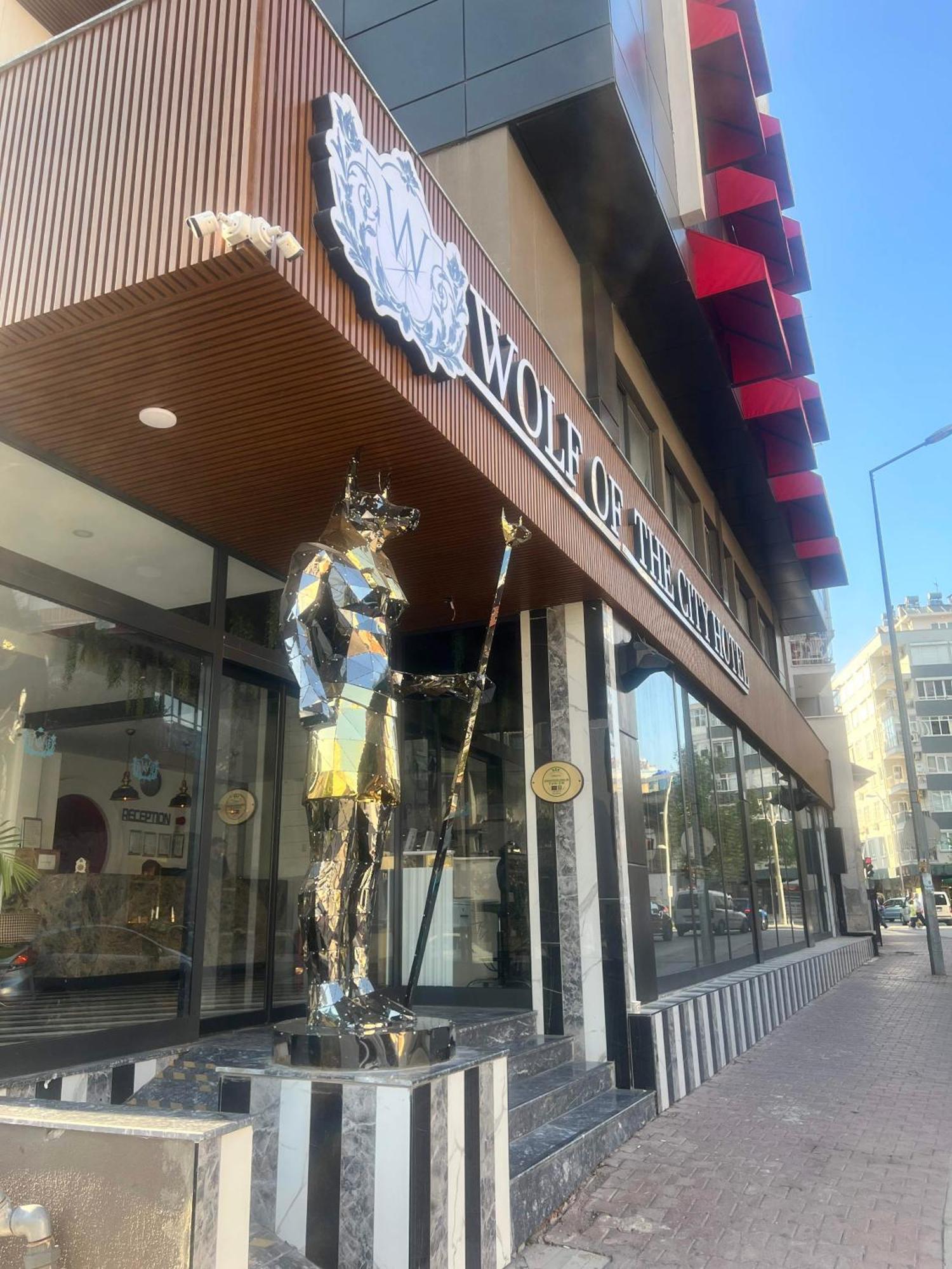 Hotel Wolf Of The & *