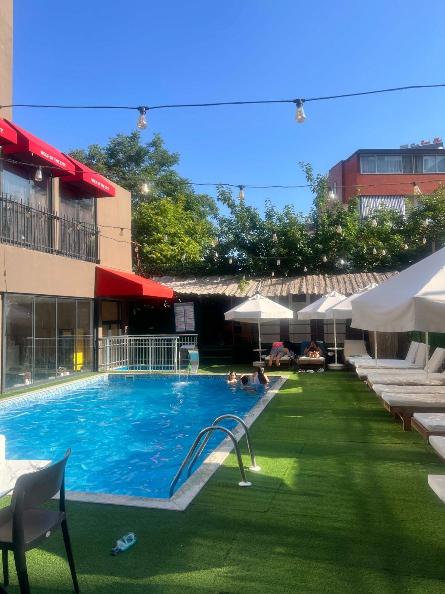 Wolf Of The & Hotel Antalya