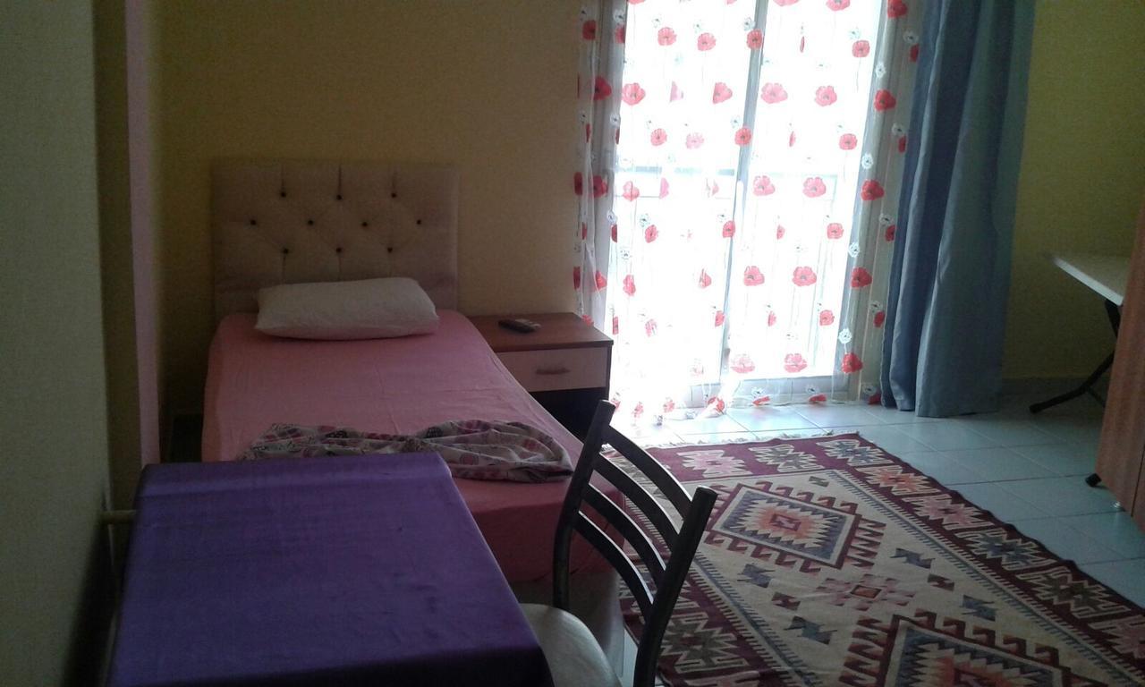 White Cat Sevgi 2*