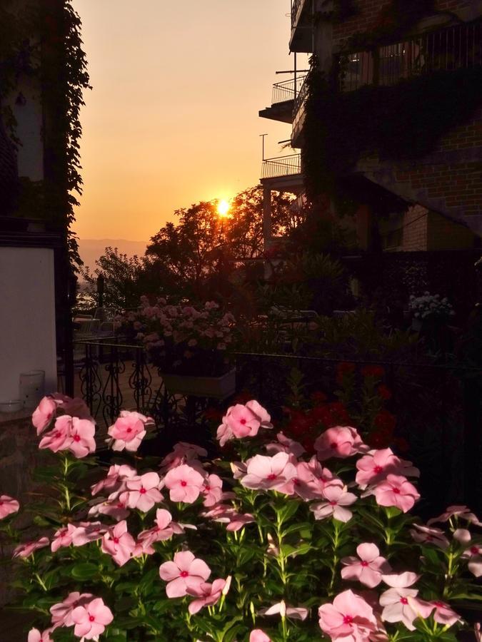 Marco Hotel Antalya