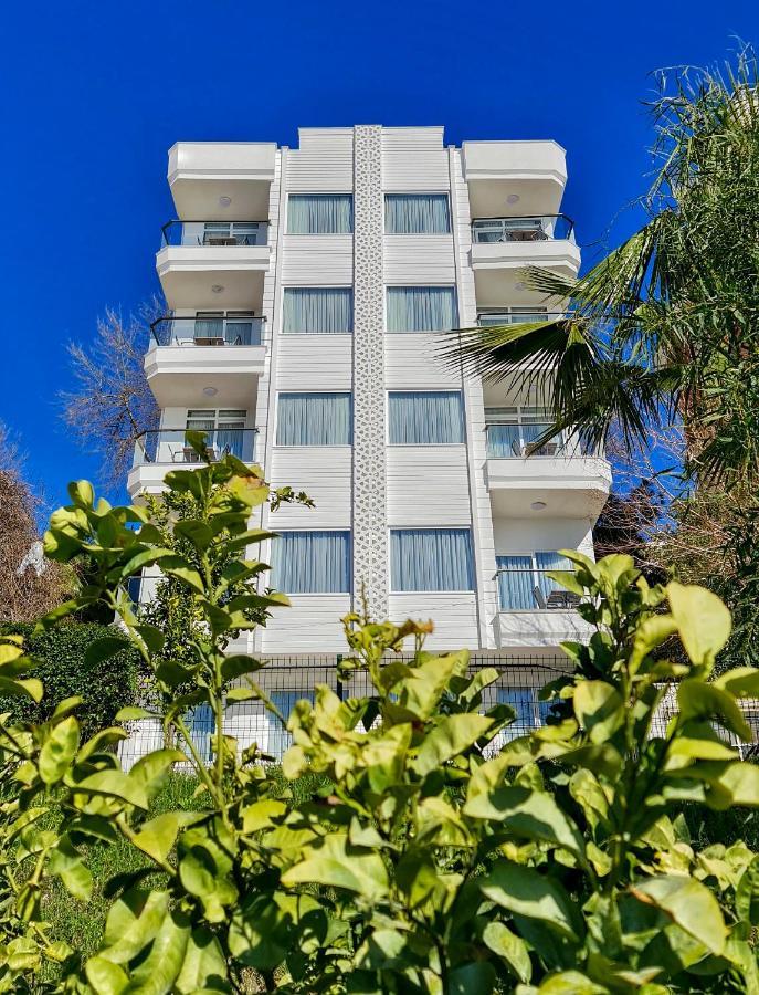 Accommodatie bij particulieren Letstay Panorama *