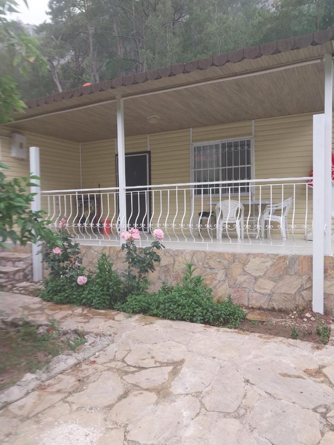 Village Garden Hospedagem domiciliar