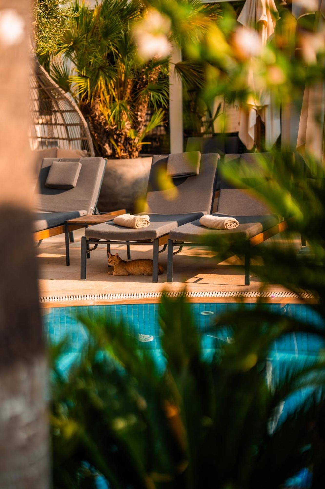 Elegance East Hotel Antália