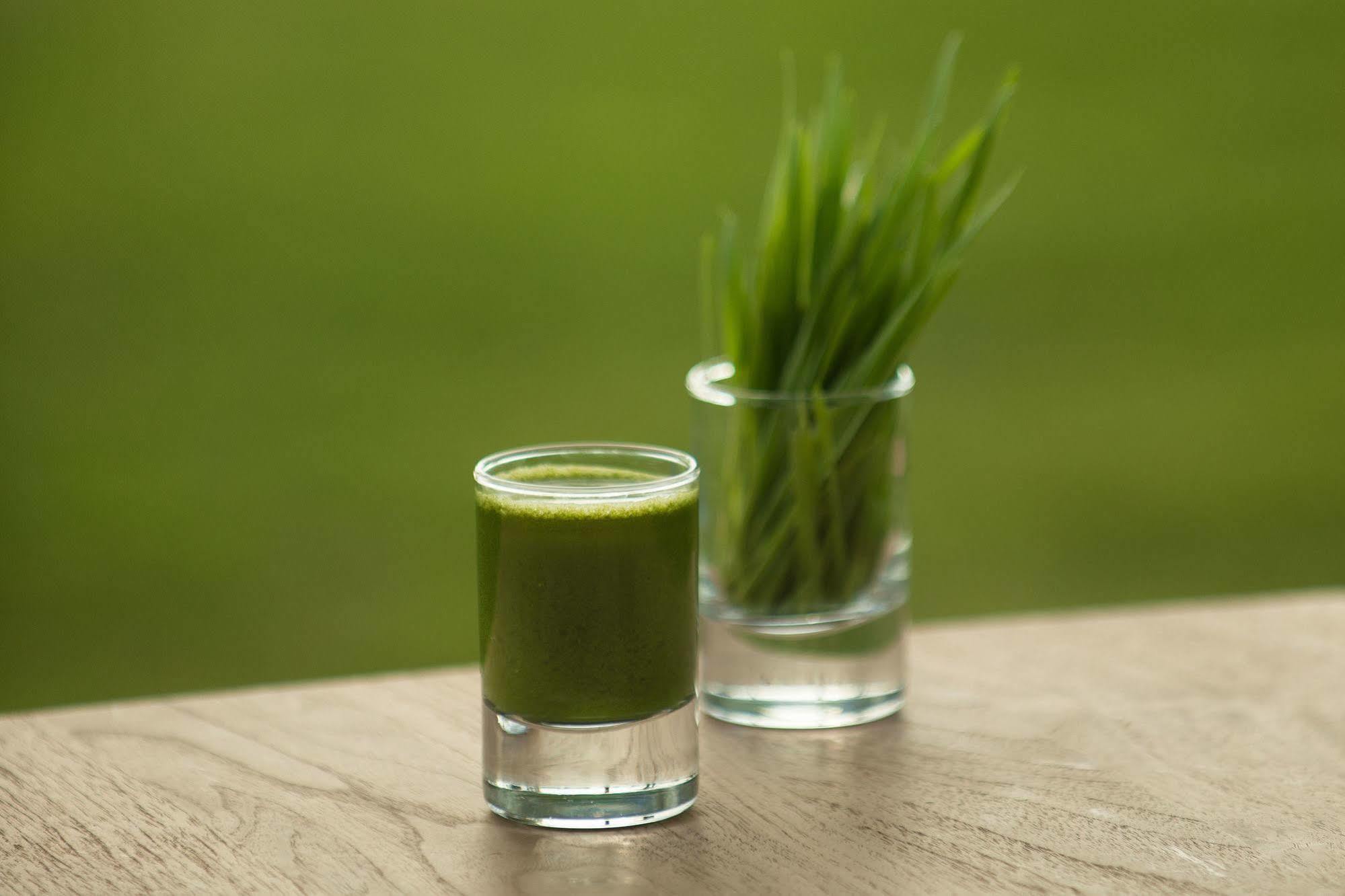The Lifeco Well-being Detox Center And Vegan 3* Antália