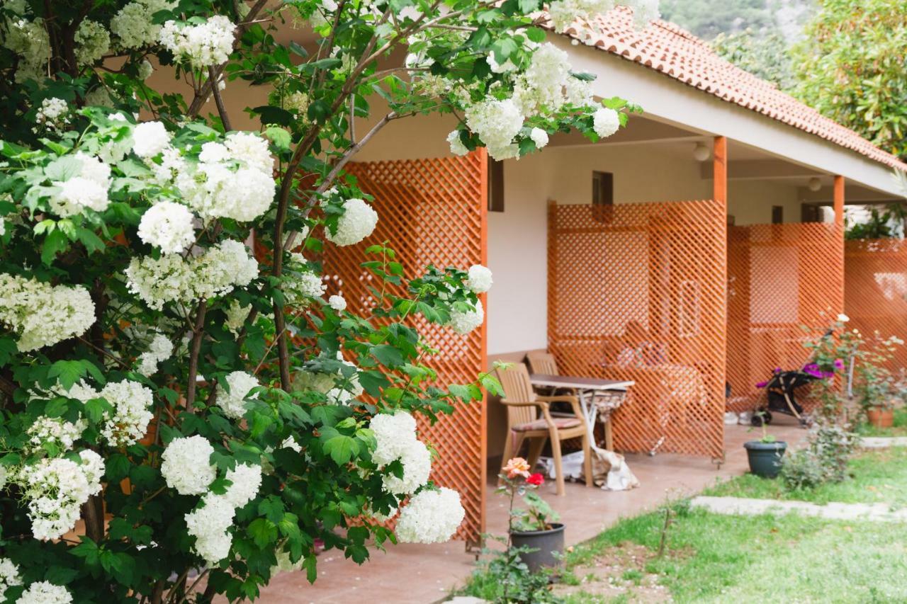 Village Garden * Antália