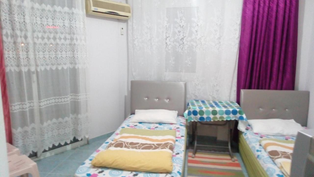 White Cat Sevgi 2*