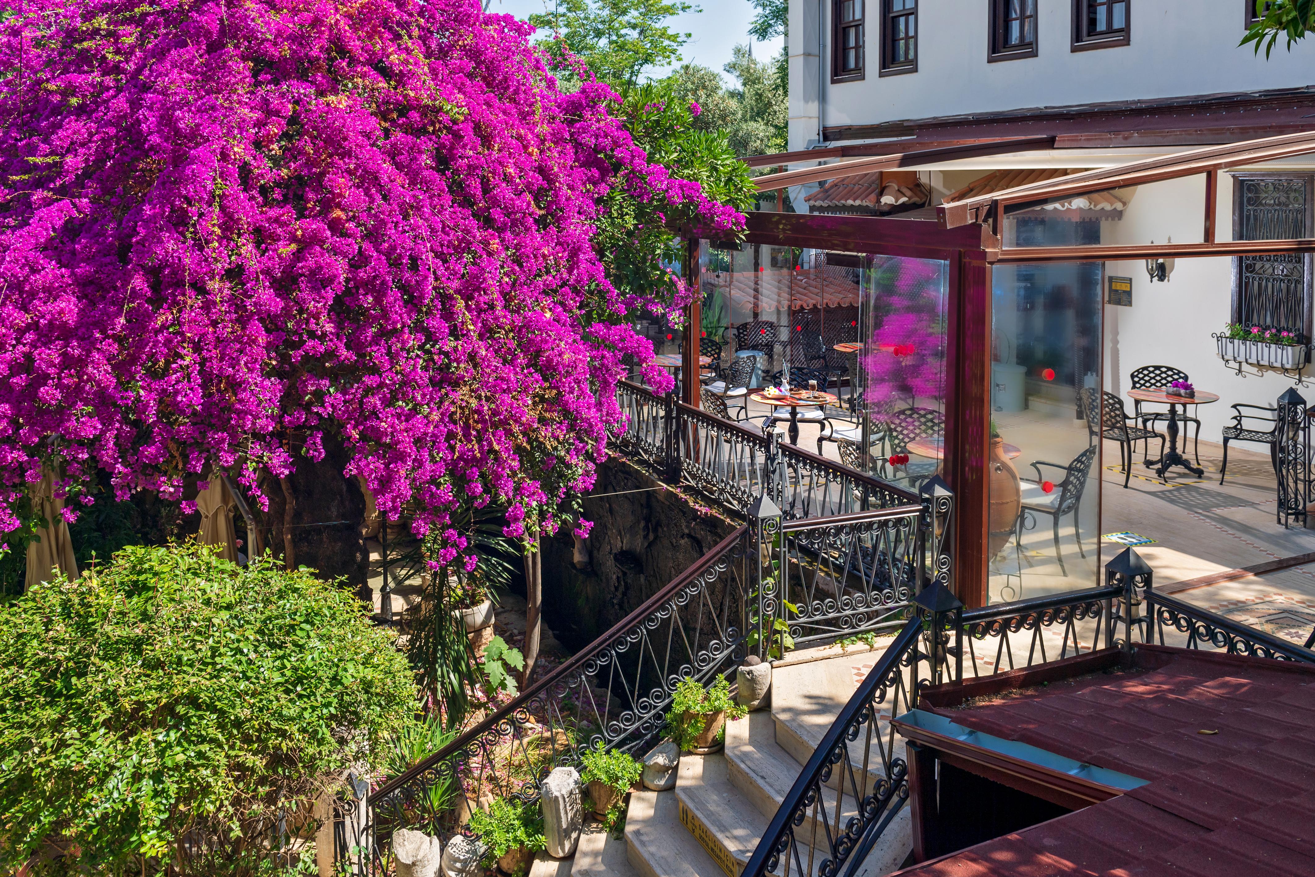 Dogan Hotel Antália