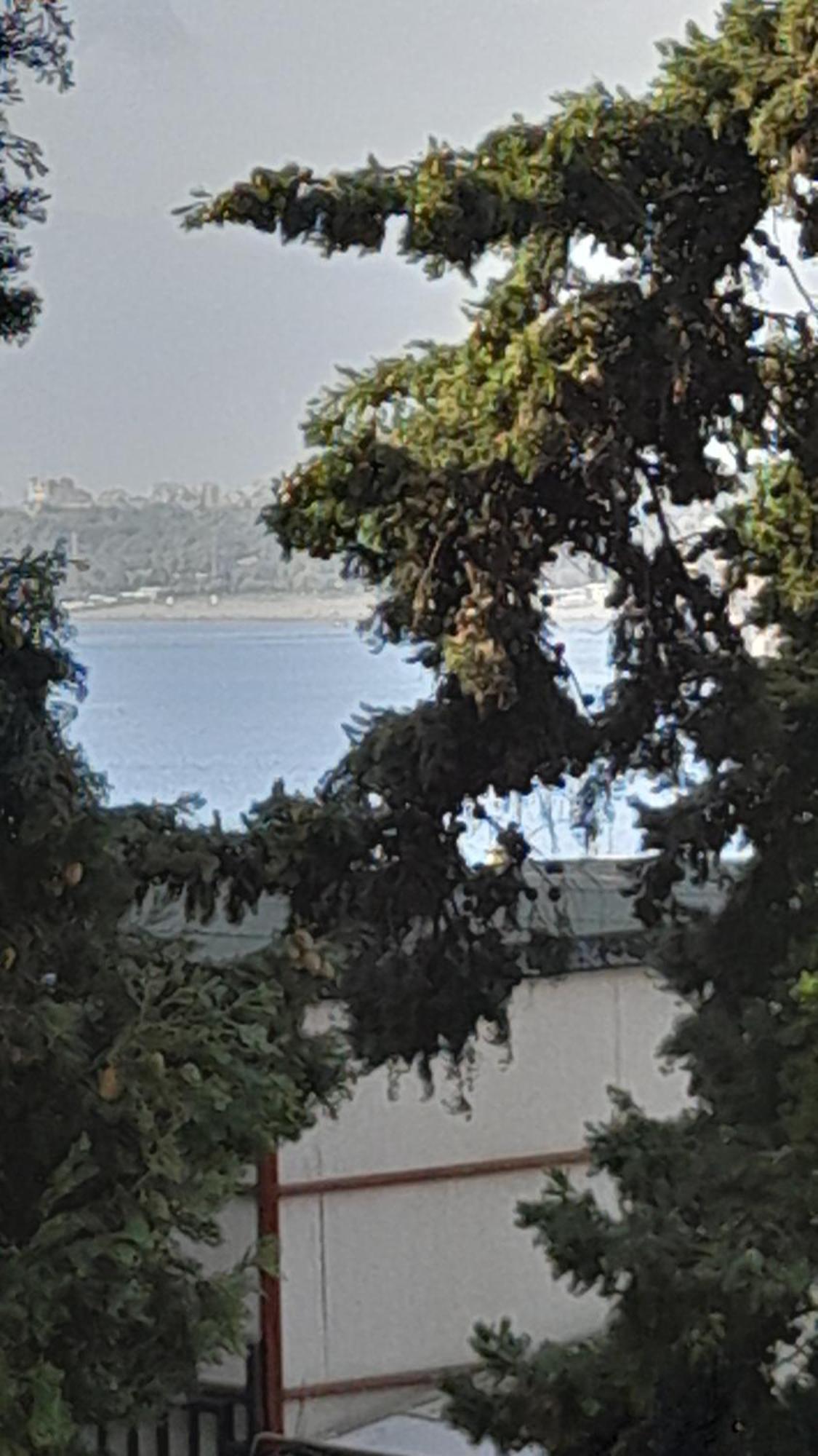 Bat Antalya