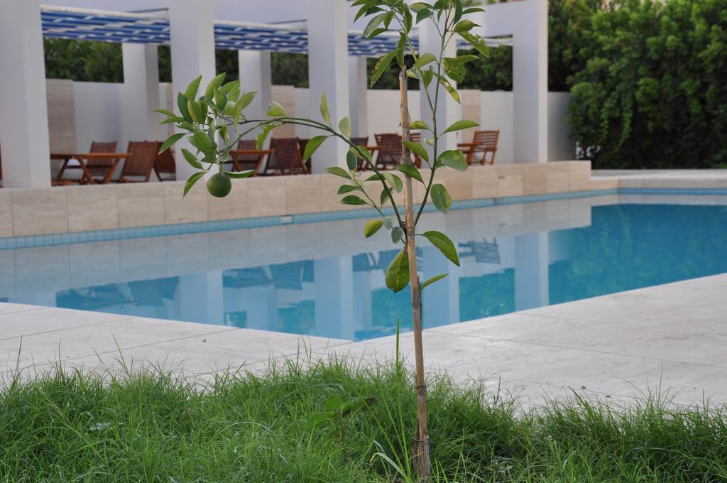 Apart-hotel Boutique Mim-a