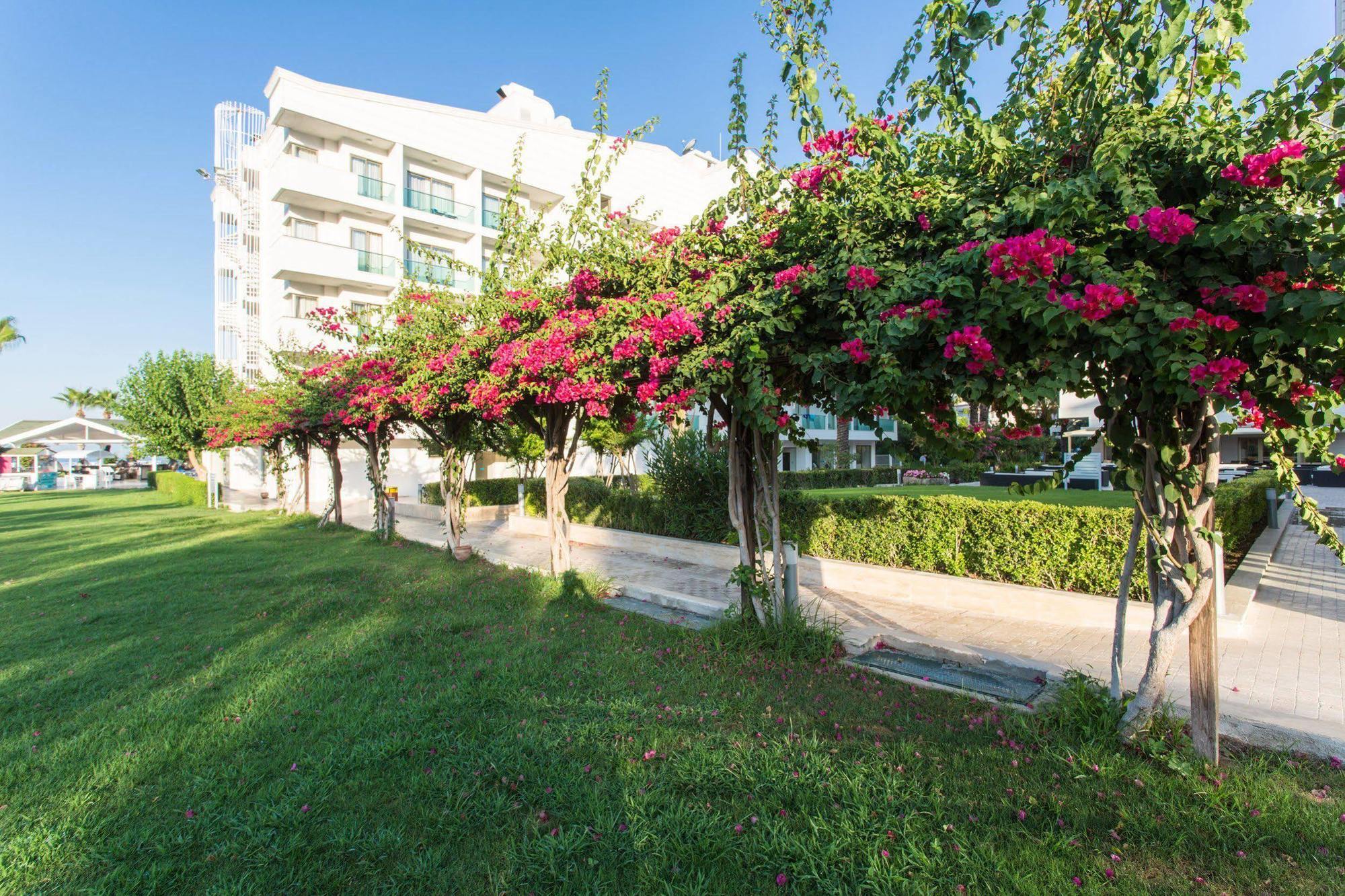 Falcon Otel